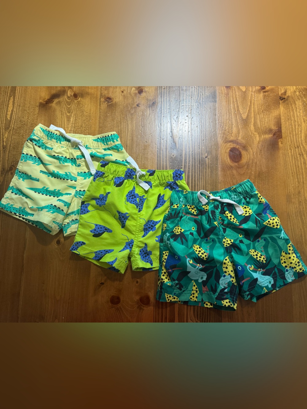 Bundle of 3 Hanna Andersson Boys Swim Trunks